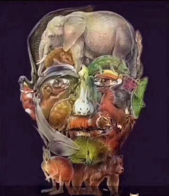 算法数据