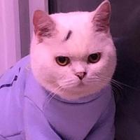個人