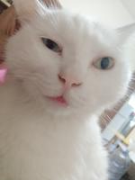 個人