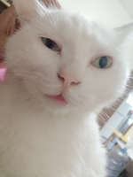 個(gè)人