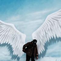 Qi个人设计工作室