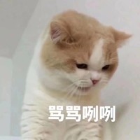 个人