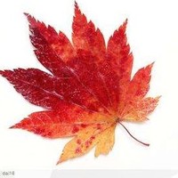 企業(yè)