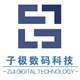 子極虛擬