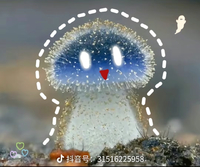 個人