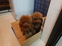个人