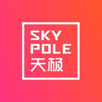 天极SKYPOLE品牌策划