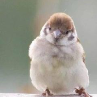 個人
