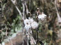 個(gè)人