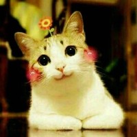 个人