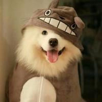 個(gè)人
