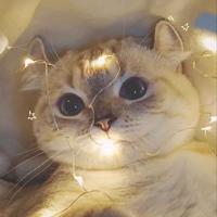 個人