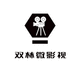 雙林微影視