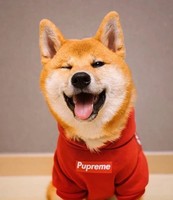 個(gè)人