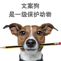 文案狗Z&L**