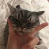 個人