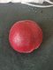 蟲(chóng)草設(shè)計(jì)