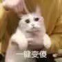 个人