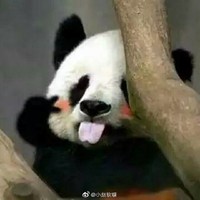 個人