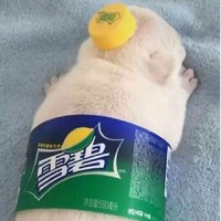 个人