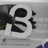 君临视觉平面设计