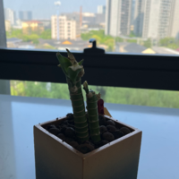 個人
