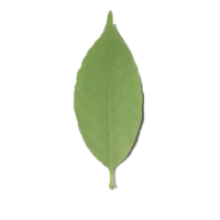 個(gè)人