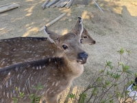 個(gè)人