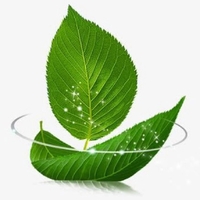 個(gè)人