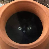 個人