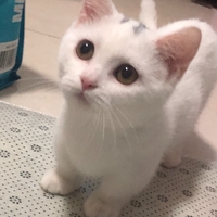 個人