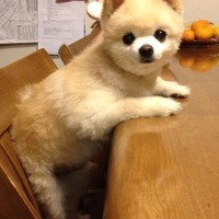 個人