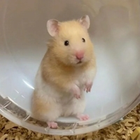 個人