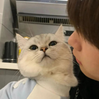 个人