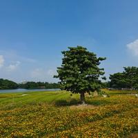 個(gè)人