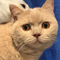 個人