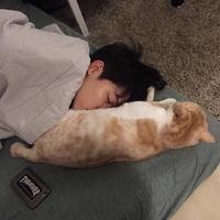 個人
