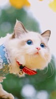 個(gè)人