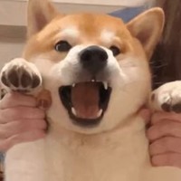 個(gè)人