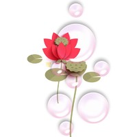 個(gè)人