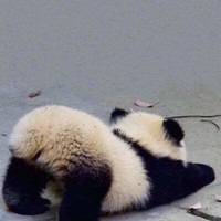 個(gè)人