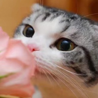 個人