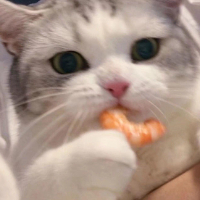 個人