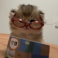 個(gè)人