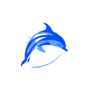 企業(yè)