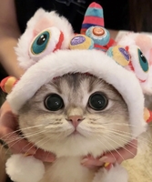 個人