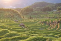 個(gè)人