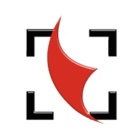 企業(yè)