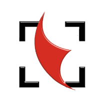 企业