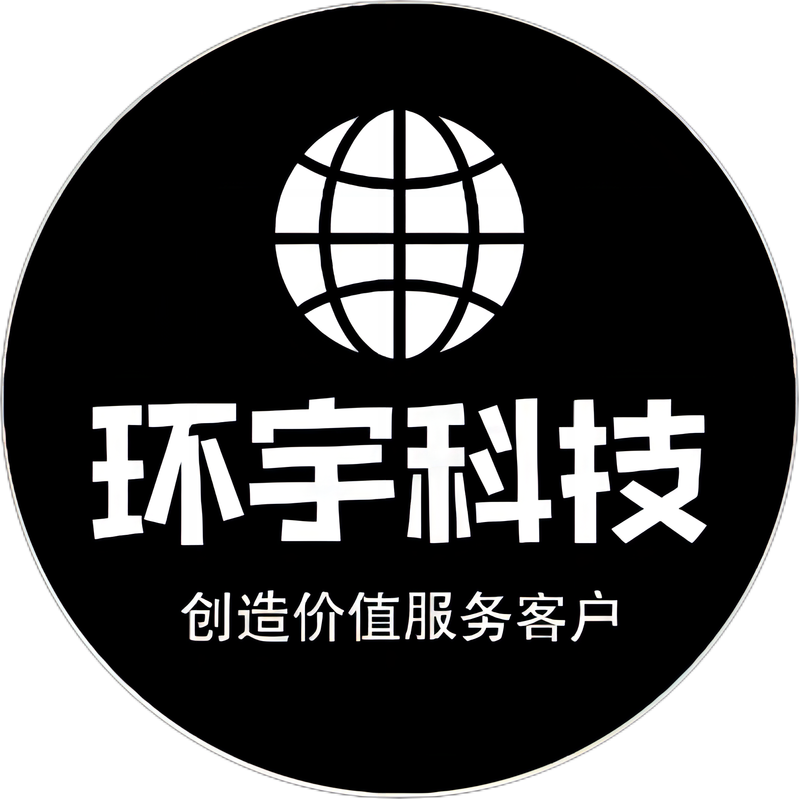 中飞环宇